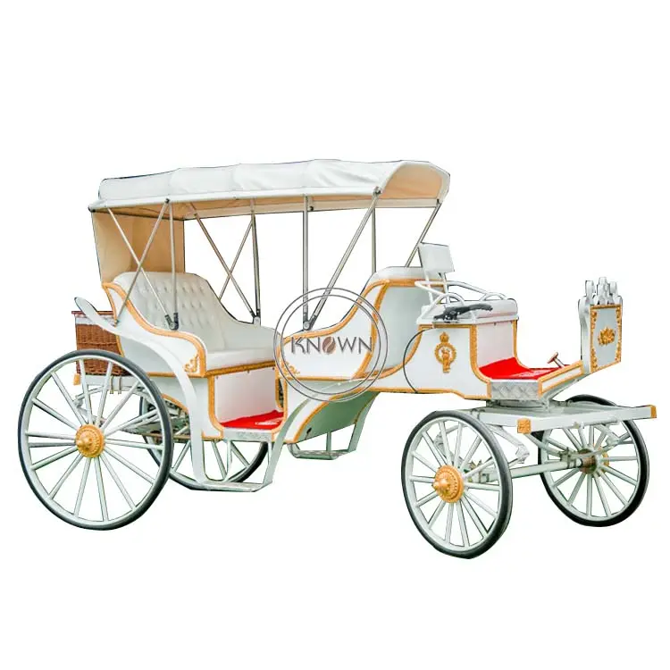 Электрическая достопримечательная карета, королевская Свадебная каретка для лошадей, выставочная Карета для продажи