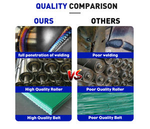 Logistiek Transportsysteem Gemotoriseerd 304 Roestvrijstalen Tafel Kleine Rollenbaan - Product Image 6