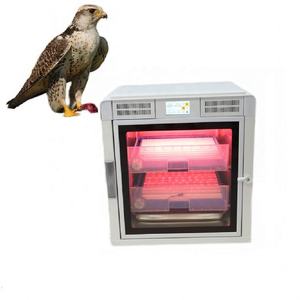 Machine d'incubation automatique de mini-œufs avec plateau à œufs, machine d'incubation d'œufs de <span class=keywords><strong>paon</strong></span> et de <span class=keywords><strong>pigeon</strong></span>, incubateur - Product Image 6