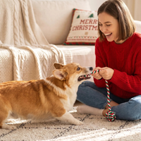 Lot de 5 jouets à mâcher pour chien de Noël : figurine peluche Père Noël, corde en coton, balle à picots en TPR, interactif pour le nettoyage des dents