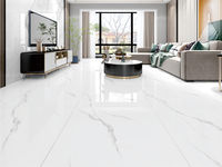Carreaux de porcelaine modernes 60x60cm brillants antidérapants résistants à l'usure Marque TASHI Garantie 5 ans Épaisseur 8-10mm <0,5% d'eau