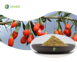 SLBIO 食品グレード 天然クコの実エキス粉末 80メッシュ クコの実粉末 - Product Image 2