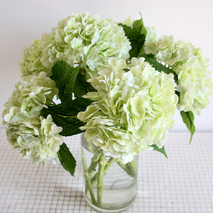 Hortensias Haute Qualité Artificielle Real Touch Latex <span class=keywords><strong>Hortensia</strong></span> Grande Tête Vert Blanc <span class=keywords><strong>Hortensia</strong></span> Fleur pour la Décoration de Mariage - Product Image 3