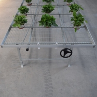 Étagère mobile en treillis métallique à mailles soudées pour la culture de fleurs en serre, idéale pour pépinière