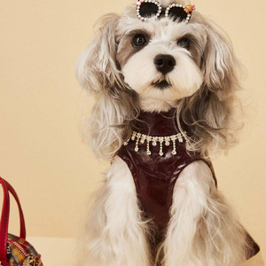 Elegant Personalized Lightweight Faux Leather Pet Dress for Small Dogs <b>Cats</b> Shiny Wine Red Skirt Tassel Rhinestone Collar - Product Image 4