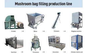 Square Mushroom <b>Bagging</b> And Filling Machine For Different Mushrooms Cultivation - Product Image 4