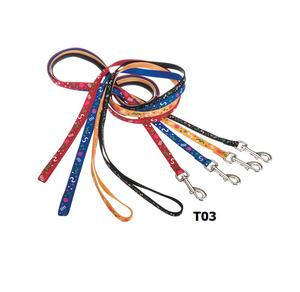 Fournisseur professionnel de laisses pour animaux de compagnie Laisse pour chien en nylon satiné fantaisie sur mesure pour la marche en plein air - Product Image 2