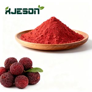 مسحوق فاكهة التوت الأحمر الطبيعي النقي الأكثر مبيعًا، مسحوق عصير اليومبيري، مسحوق فاكهة البايبري بدرجة غذائية - Product Image 3