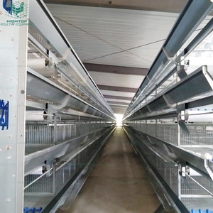 Cage à volailles professionnelle de type H à empilement vertical à plusieurs niveaux pour <span class=keywords><strong>poulailler</strong></span> 50000 oiseaux - Product Image 3