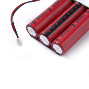5 년 서비스 수명 9.6V 1300mAh 리튬 이온 배터리 수명 PO4 배터리 팩 베겔리 비상등 - Product Image 5