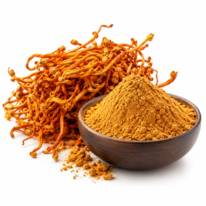 Qidan OEM Polisacáridos 10% Cordyceps Militaris Hongo de Alta Potencia Suplemento de Cuerpo Fructífero Fabricante Botella Tambor - Product Image 1