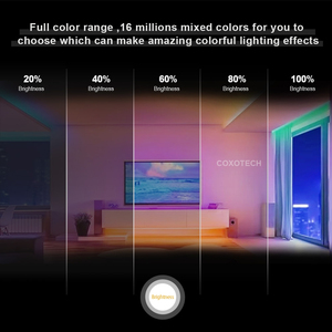 ไฟแอลอีดีแบบเส้น COXO 5050 กระแสคงที่ ความยาวพิเศษ <span class=keywords><strong>50</strong></span> ฟุต 15 เมตร 20 เมตร พร้อมตัวปรับแรงดันไฟฟ้า <span class=keywords><strong>RGB</strong></span> RGBW SMD 5050 - Product Image 6