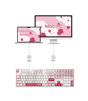 Clavier mécanique AKKO Prunus Lannesiana 3108v3 pleine taille OEM, rétroéclairage LED blanc USB Type-C, touches PBT double-shot, pour le gaming