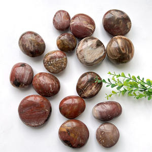 Groothandel Natuurlijke Gepolijst Kristal Han Pocket Stenen Rode Versteend Hout Fossiele Palm Steen Voor Verkoop - Product Image 1