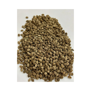 เมล็ดมะละกออบแห้งเป็นมิตรกับสิ่งแวดล้อม แหล่งธรรมชาติ ขายส่ง - Product Image 2