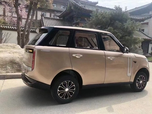 Coche eléctrico para personas mayores pequeños coches eléctricos para la venta micro coche eléctrico barato - Product Image 5