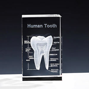 दृश्यमान रक्त प्रणाली k9 क्रिस्टल 3 डी मानव हृदय मॉडल लेजर द्वारा कार्डियोलॉजी उपहारों के लिए - Product Image 2