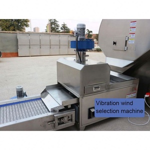 เครื่องคั่วเฮเซลนัทอุตสาหกรรมสแตนเลส เครื่องคั่วถั่วลิสงเมล็ด<span class=keywords><strong>ฟักทอง</strong></span>อัตโนมัติ สายการผลิต - Product Image 6