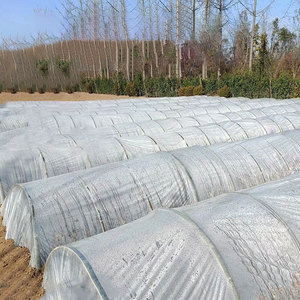 Small Arched Greenhouse Plastic Film 0.02mm Thickness White PE Film For Vegetable Planting Agricultural Heat Preservation - Product Image 1