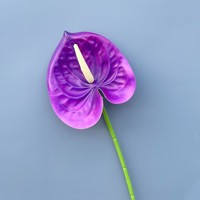 Bunga Anthurium Sutra Buatan Real Touch - Tahan UV Ramah Lingkungan Dekorasi Buatan Tangan untuk Pernikahan Paskah Natal