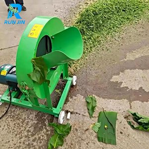 Broyeur Électrique 220V en Fonte <span class=keywords><strong>pour</strong></span> la Découpe et le Broyage des Tiges de Bananier, de Plantain et de Palmier, <span class=keywords><strong>pour</strong></span> la Transformation de la Volaille et du Bétail - Product Image 1