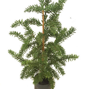 Arbre artificiel <span class=keywords><strong>de</strong></span> cyprès d'extérieur personnalisé pour la maison - Product Image 5