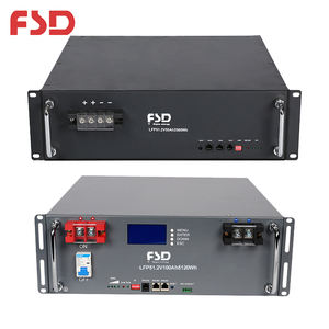 สินค้ามาใหม่ รับประกัน <span class=keywords><strong>2</strong></span> ปี แบตเตอรี่ลิเธียมไอออน LFP สำหรับรถจักรยานไฟฟ้า ทนทานต่อความเย็น ใช้กับเสาโทรคมนาคม 51.2V 50Ah - Product Image 2