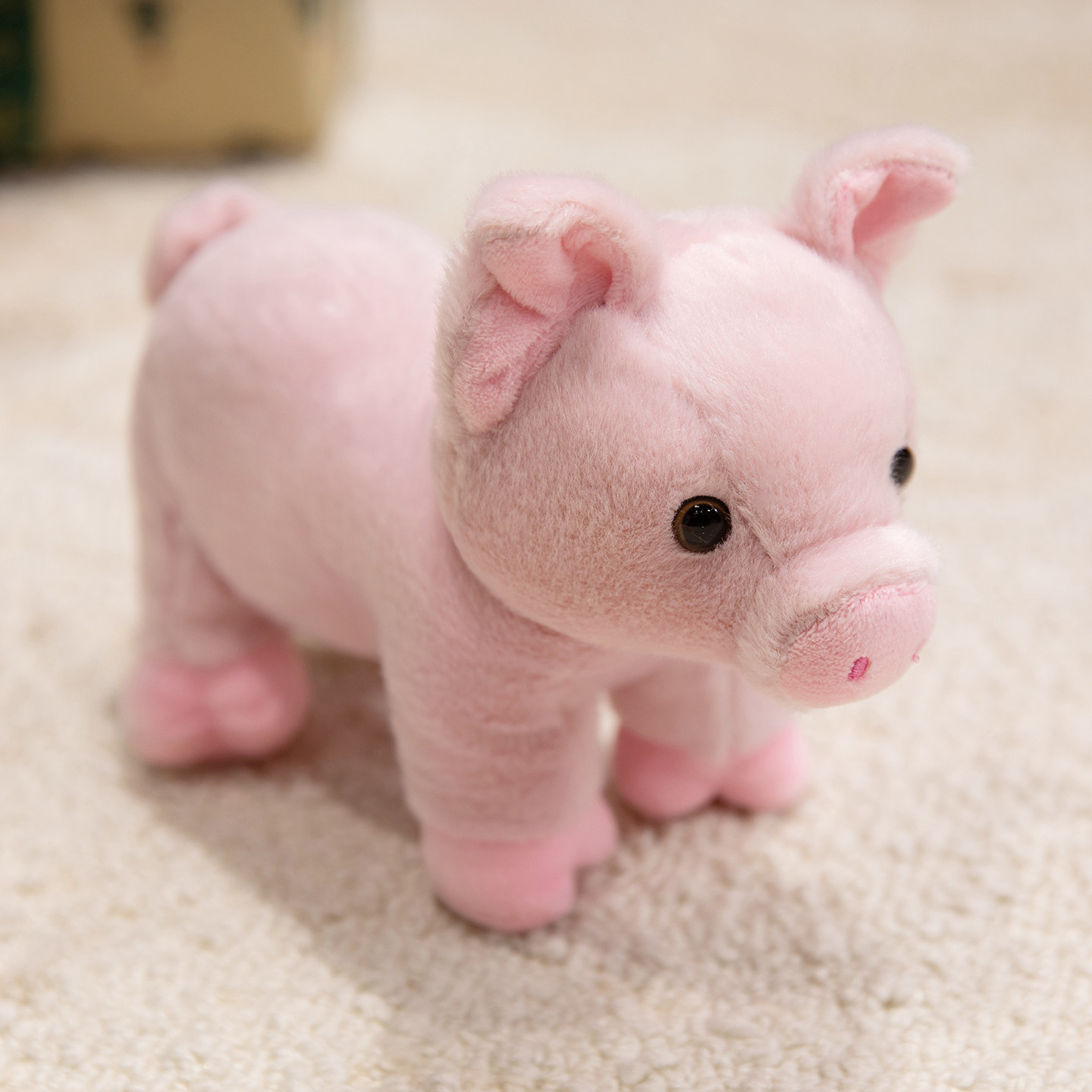 Pink pig