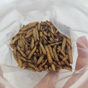 Alimentos animais naturais, 100g 500g 1000g de alta proteína seca soldado preto mosca larvae