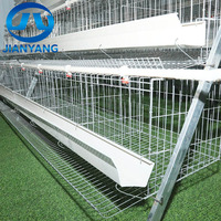 Cage à poules de haute qualité en acier galvanisé à 3/4 niveaux, capacité 48-160, pour élevage avicole