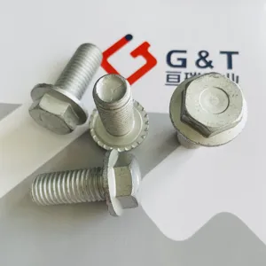 Customization 12.9 Hex Flange Bolt Similar to DIN 6921