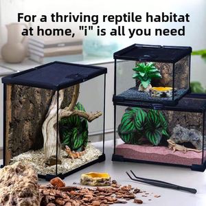 Terrarium en verre pliable style forêt tropicale pour poissons, geckos, tortues, araignées, présentoir paysager, écologique - Product Image 3
