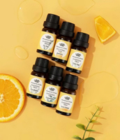 Juego de 6 Aceites Esenciales de Grado Terapéutico Personalizados OEM/ODM, Kit de Aromaterapia con Limón, Árbol de Té, Naranja Dulce y Eucalipto