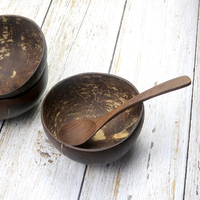 Ensemble de bols cuillères en bois naturel décoratifs pour la cuisine, bols à smoothie et à salade, bol en coquille de noix de coco