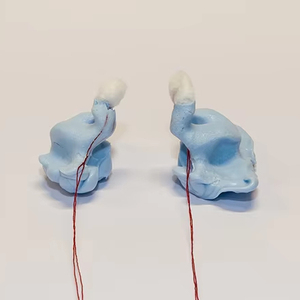 Vật liệu ấn tượng tai chính xác để tạo màn hình trong tai cho nhạc sĩ - Product Image 4