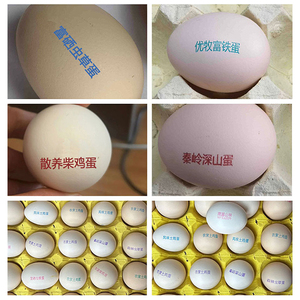 Máquina Codificadora de Fechas Automática GREAT FARM de 6 Cabezales para <span class=keywords><strong>Huevos</strong></span> de <span class=keywords><strong>Gallina</strong></span> y <span class=keywords><strong>Huevos</strong></span> de Pato en Línea de Producción - Product Image 5