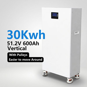 15kWh 30KWH 51.2V LiFePO4 Home Energy Storage Battery <b>Wall</b> Mounted LCD BMS RS232 OEM Private Label 48v Lifepo4 Battery Pack - Product Image 6