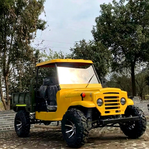 Voiture électrique classique à prix abordable pour le tourisme, le transport agricole et les parcs d'aventure – Véhicule utilitaire tout-terrain de haute qualité certifié CE - Product Image 1