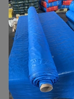 120g Largeur: 6m, 8m, 10m, Rouleau de bâche PE imperméable solide Bâche enduite de HDPE