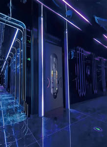 Puerta Insonorizada Manual de Acero Inoxidable para KTV, Bar, Discoteca, Baño, Sala de Karaoke y Hotel, Marca Wellone, Diseño Moderno y Personalizado - Product Image 4