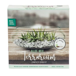 Kit de culture DIY unique et mignon en verre pour aloe vera, petit pot de <span class=keywords><strong>terreau</strong></span> pour enfants, livraison rapide, utilisation à domicile - Product Image 1