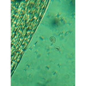 Agua Micelar Avanzada, Desmaquillante Vegano BYMANYC, Nueva York - Product Image 2