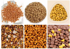 Nouvelle condition d'extrudeuse de nourriture pour chien à double vis capacité 200 kg/h ligne de traitement de granulés secs pour animaux de compagnie pour l'alimentation certifiée ISO/CE - Product Image 6