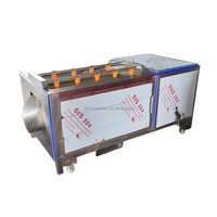 Aardappel, gember, bieten, wortelgroentewas- en schilmachine met motor, capaciteit 50-2000 kg/uur voor de verwerking van fruit & noten