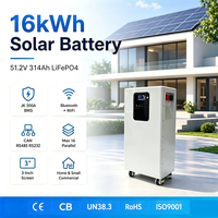 Batterie Solaire 314Ah 16kWh 51.2V pour Autonomie Maximale avec Armoire Intérieure Assortie, Système Solaire+Électrique pour Raccordement Hybride au Réseau