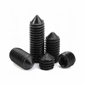 Stainless steel Cone Point full thread Hexagon socket set screw OEM factory by your drawings