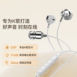 Écouteurs pour le karaoké et le streaming musical avec effets sonores DSP, égaliseur, étanchéité IPX-4, interface Type-C, basses profondes - Product Image 3