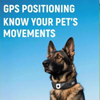 Nuevo Collar Inteligente con GPS para Mascotas, Resistente al Agua, Bluetooth, Recargable, Localizador Antipérdida, Entrenador para Perros Medianos y Grandes