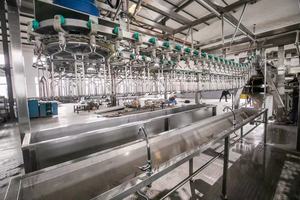 โรงเชือด<span class=keywords><strong>ไก่</strong></span>อัตโนมัติ3000ปีกขนาดเล็กอุปกรณ์สำหรับโรงฆ่าสัตว์แบบมืออาชีพที่ทันสมัย - Product Image 2