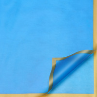 Papier d'emballage floral E-Magic, feuilles de 57 cm x 57 cm, bord doré, texture mate, semi-transparent, imperméable, pour cadeaux et bouquets